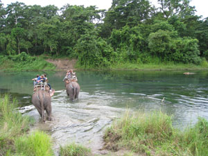Chitwan Elephant Safari